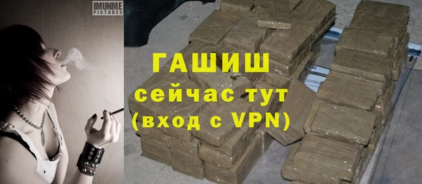 шишки Ельня