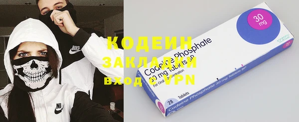 шишки Ельня