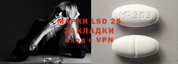 шишки Ельня