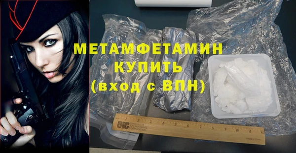 шишки Ельня