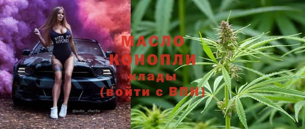 шишки Ельня