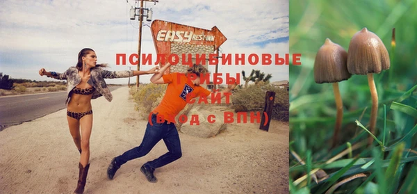 гашик Заволжье