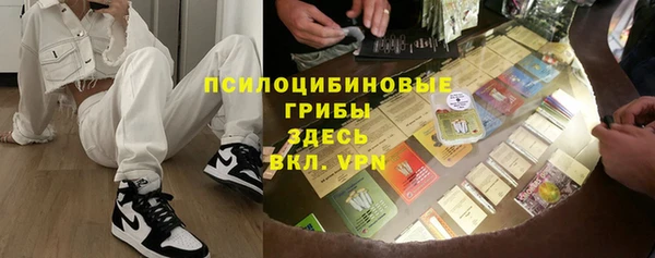 шишки Ельня