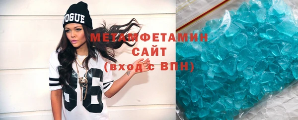 шишки Ельня
