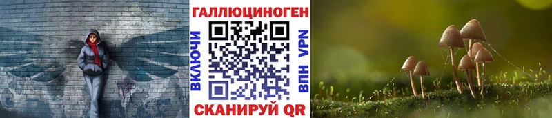 Купить закладки  Калтан  Галлюциногенные грибы Psilocybine cubensis 